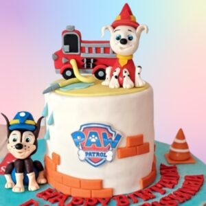 Adorable Amazing Paw Patrol Theme 1 Kg for kids from Cake Square Chennai