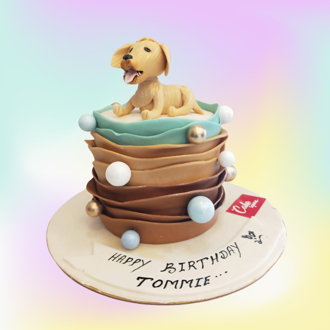 "Best Pets Birthday Cake 1 Kg. Playful 1kg birthday cake with cute pet-themed decorations"