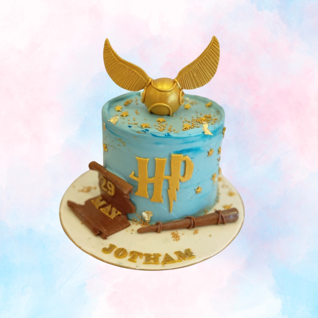 Harry Potter Pinata Cake